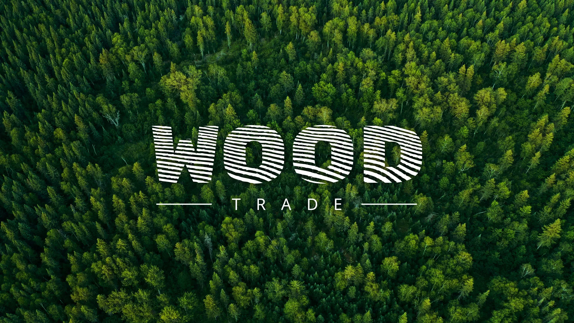 Разработка интернет-магазина компании «Wood Trade» в Осташкове